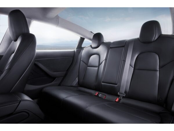Tesla Model 3 Interior Backseats